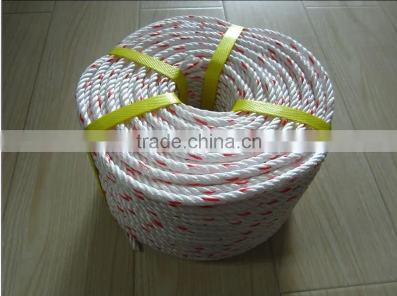 PP DANLINE ROPE