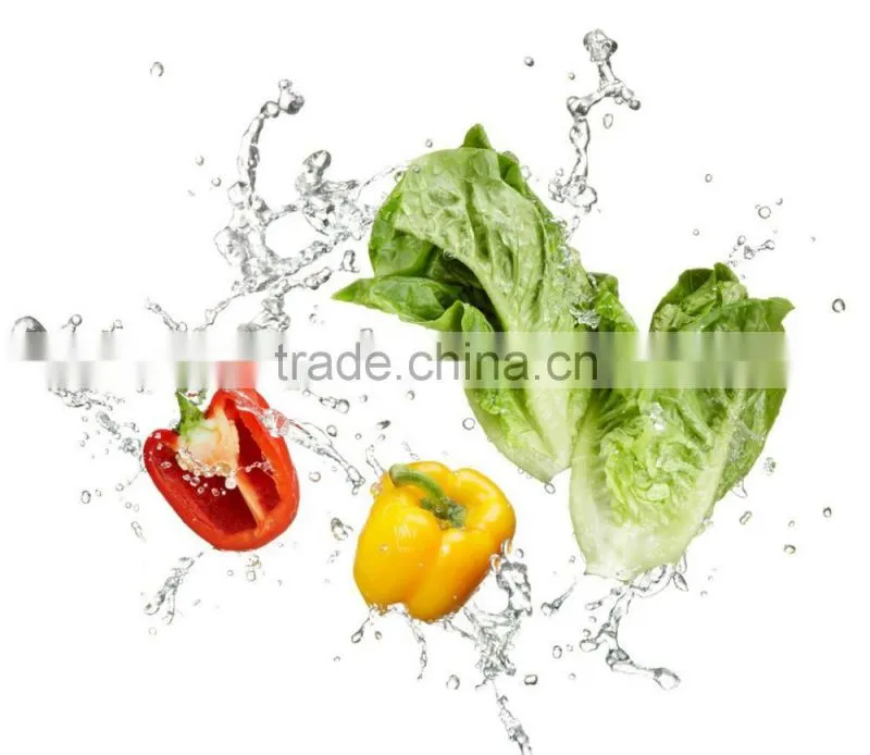 hot sale manufacture thermo king 20ft reefer container price