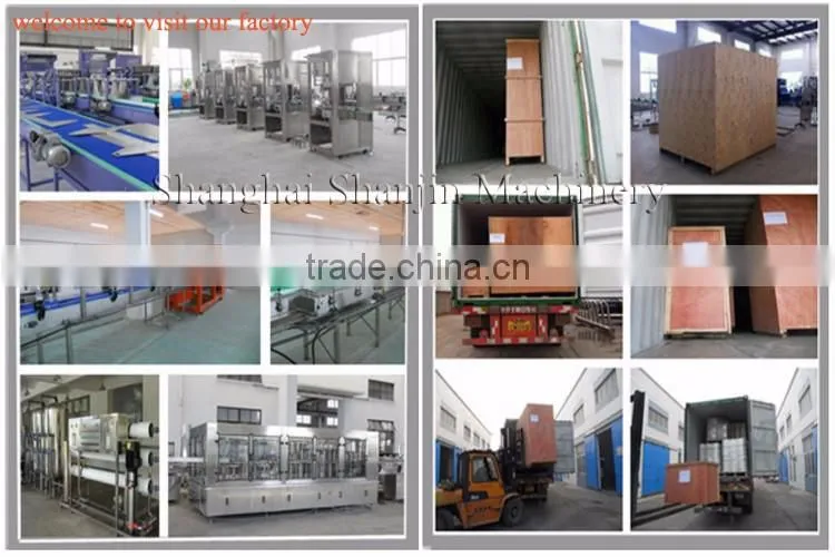 Automatic Packaging Vacuum Sealer / Food Vacuum Sealer