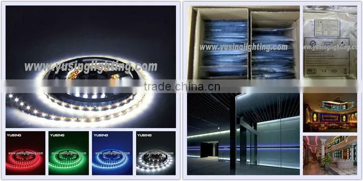 CE ROHS Low Voltage 12V 24V 3528 SMD Strip Light LED Flexible