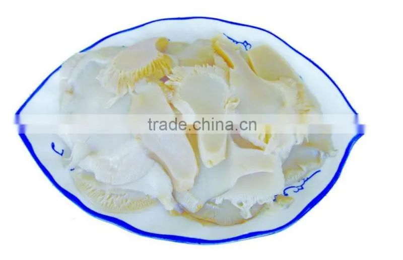 High Quality Fungusabalone Mushroom China