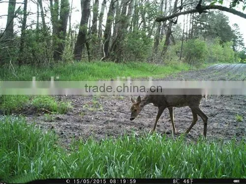 IP Infrared Thermal Hunting Camera 12MP Night Vision Hunting Camera Waterproof Trail camera