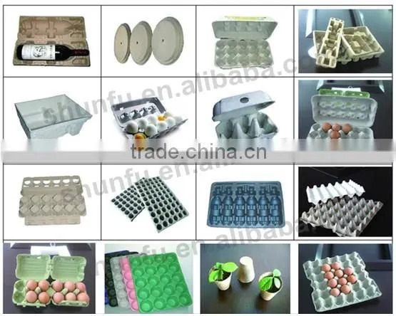 Paper Pulp Egg Tray Molding Machinery For Sale