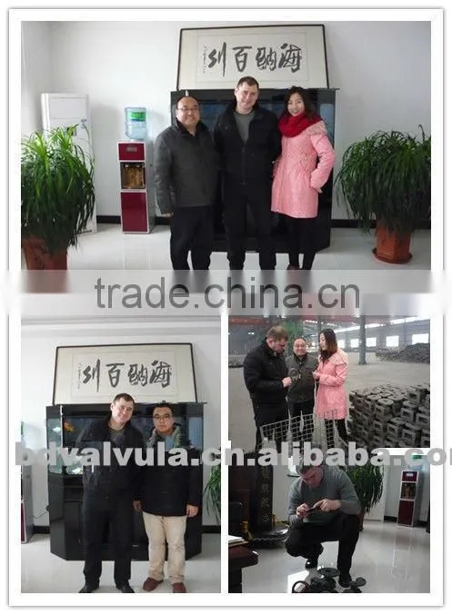 Stainless steel BS flange cover in casting technic with drawing
