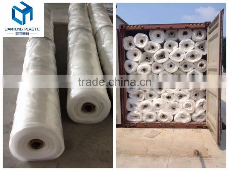 Factory price white color Apple Tree Anti Hail Net, 45g 50g 55g 60g 70g/m2 Anti Hail Net with UV protection in rolls