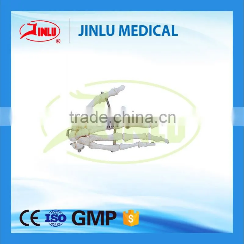 orthopedic implants manufacturer veterinary instruments surgery veterinary,hospital veterinary tools,animal implant plate
