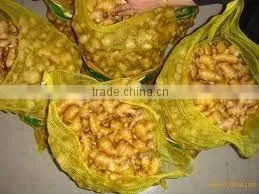 potato mesh bag