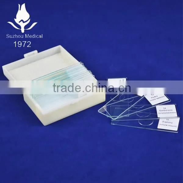 High quality school teaching prepared biology microscope slides for microscope accesories