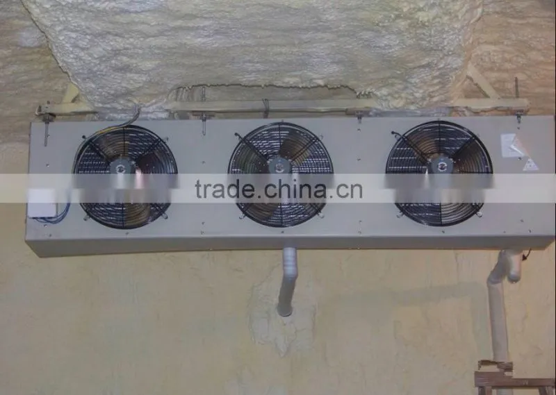 customized flower cold room freezer