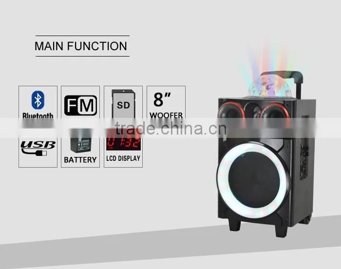 Hoxen 8" active bluetooth speakers box with disco ball light show L-212