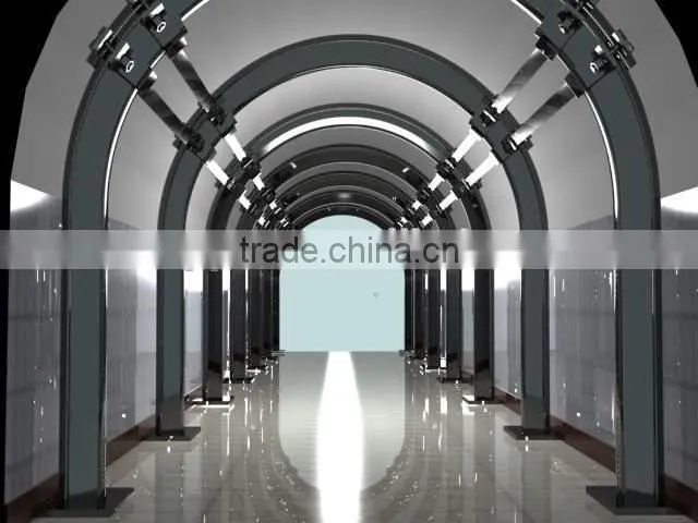 Chinese back support steel brace
