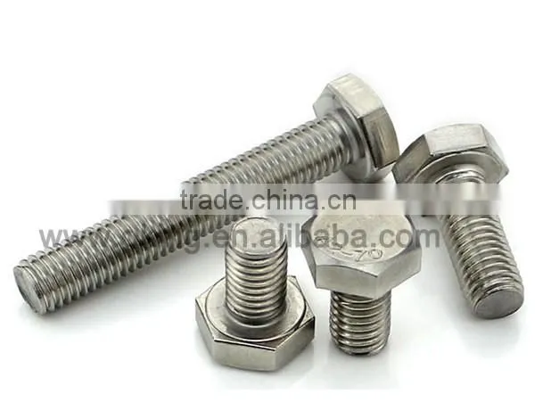 Staniless steel hex bolt m60 support OEM