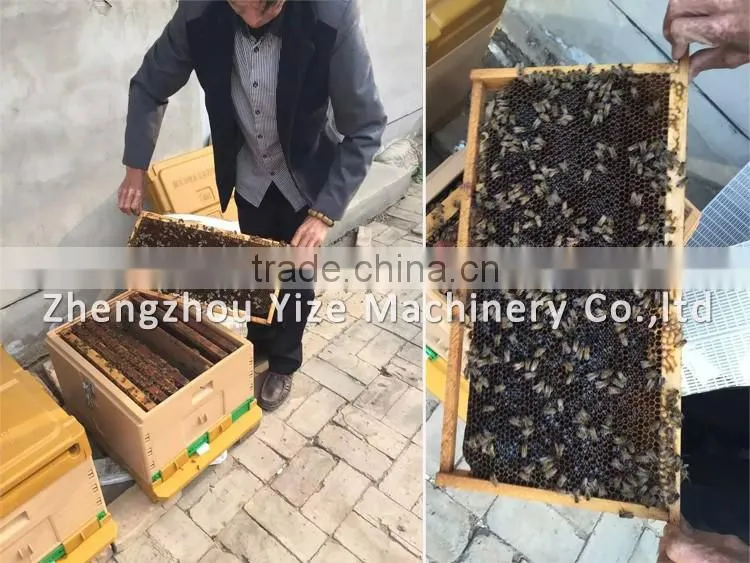 plastic hive , beehive for sale