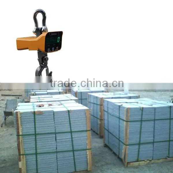 OCS-V China Crane Scale Supplier 20ton