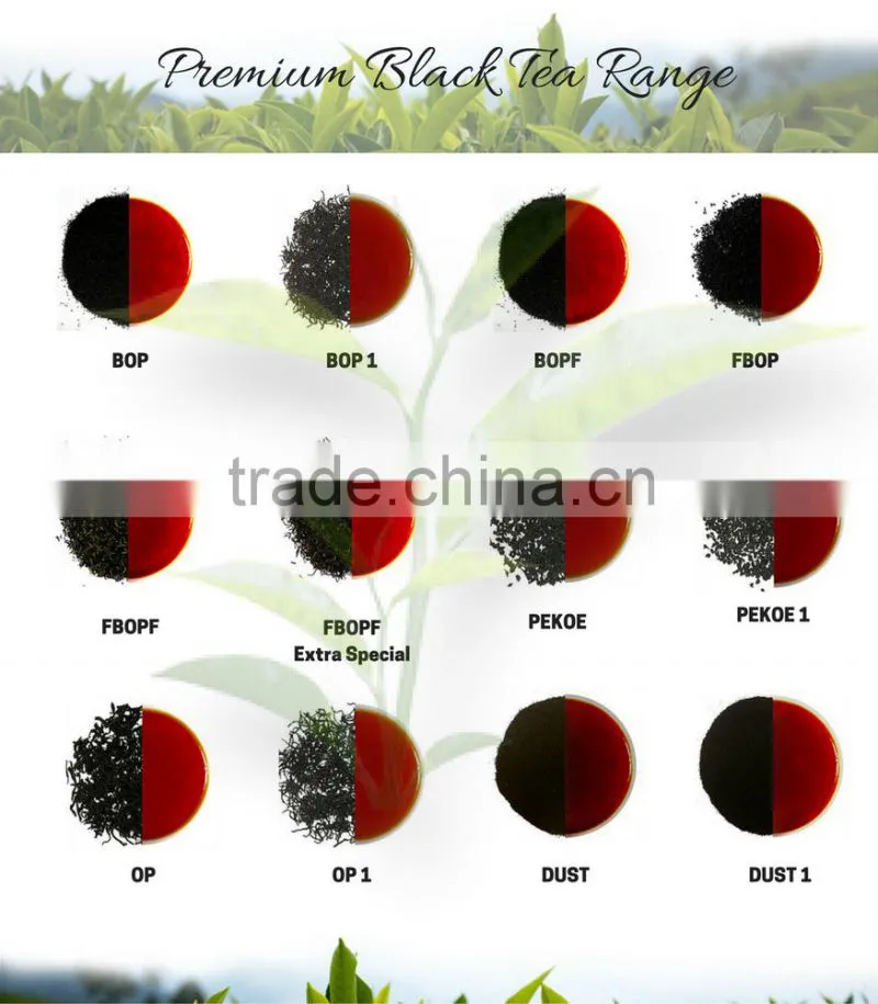 Premium Ceylon Black Tea - OP 1