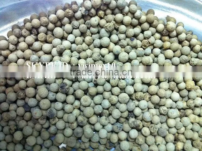 VIETNAM WHITE PEPPER 600/630 G/L 100% ORIGIN WITH BEST QUALITY