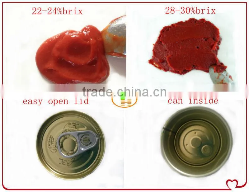 70G-4500G China Hot Sell Canned tomato paste,tomato sauce glass bottle