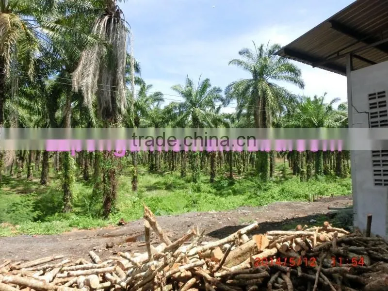 Long using life hot sell refining palm oil machine