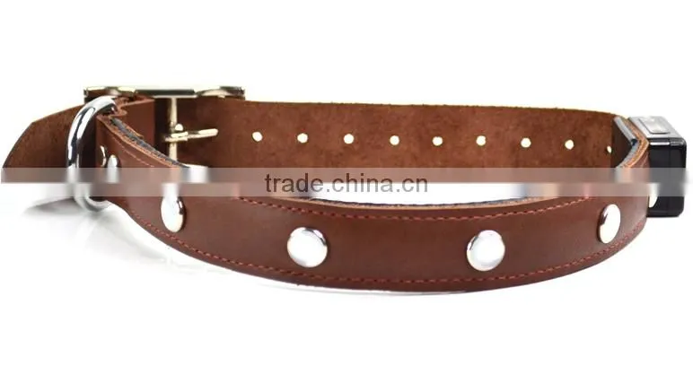 2017 Hot Selling LED Dog safety Collar leather collar
