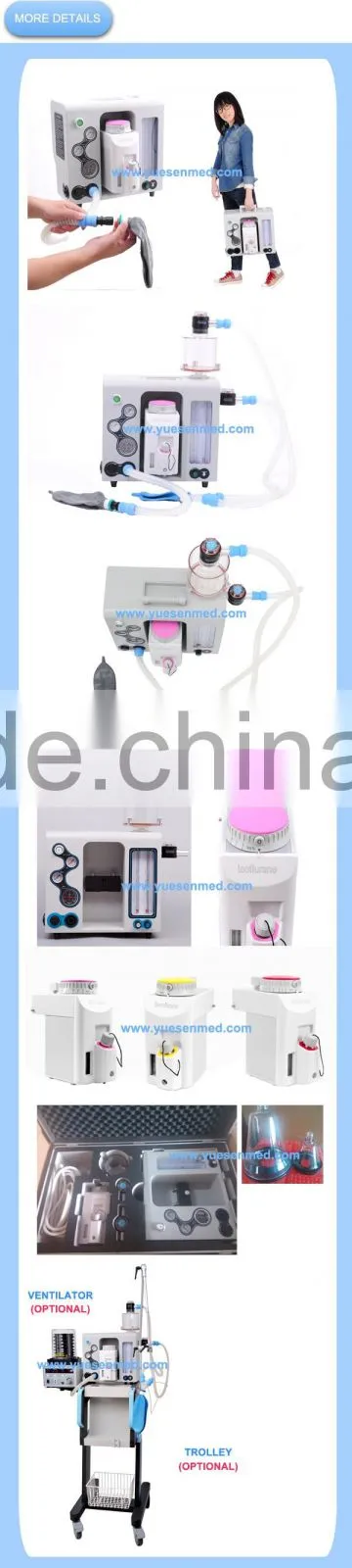 cheap veterinarian anesthesia anesthesia device