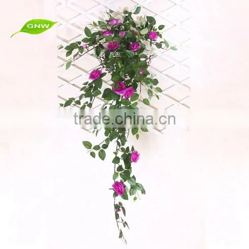 GNW FLV11 calendula flower orange blossom flower balloon flower root extract