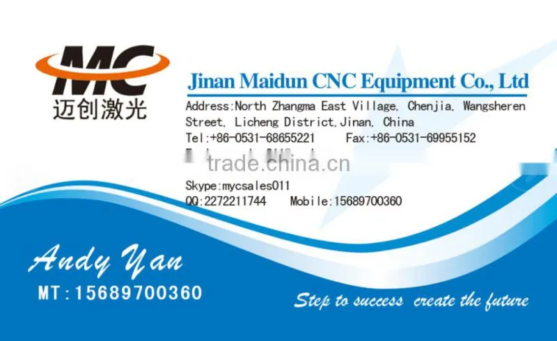Co2 reci laser iron sheet cutting machine cut out metal letters hot sale MC1390