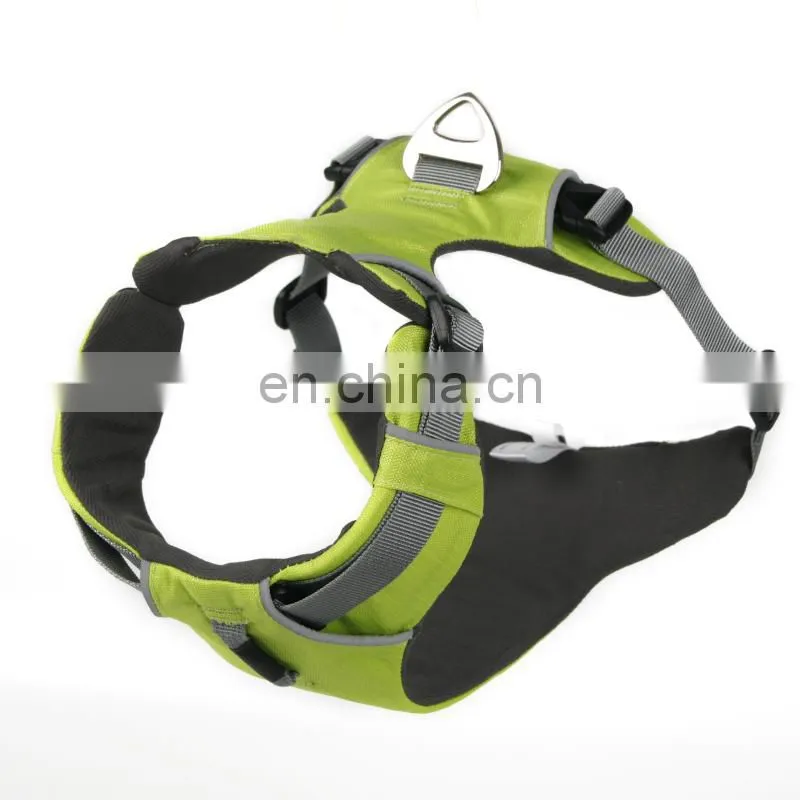 remote dog training colar