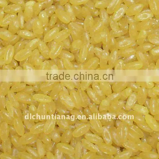 golden rice
