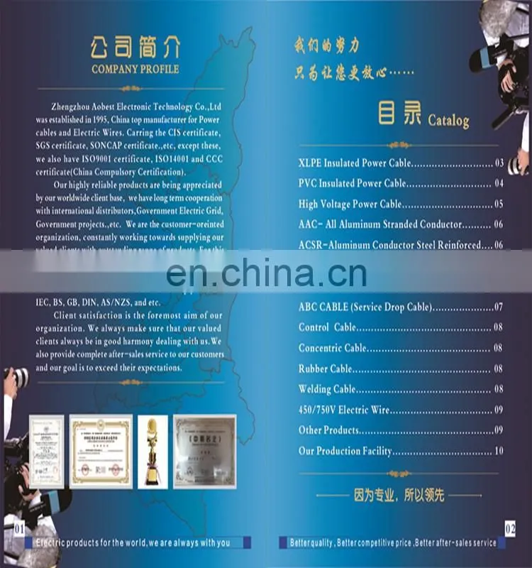 Electro/Hot Dipped galvanized welded iron wire mesh Factory