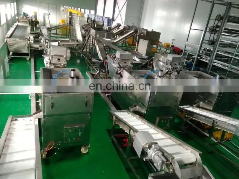 China Cheapest Price Best Quality Cherry Apple Peach Plum Olive Apricot Seed Core Pitter Remover On Warehouse