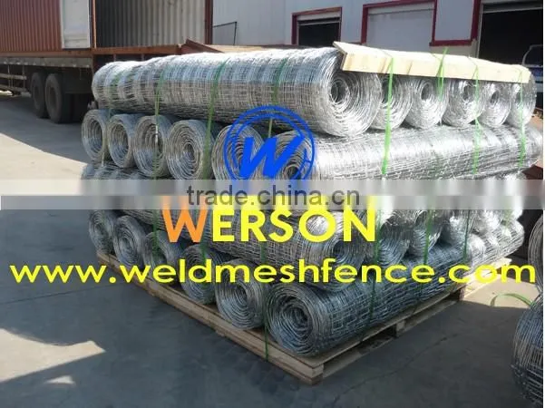 Hot Dipped Galvanized Camel Fence used for Grassland