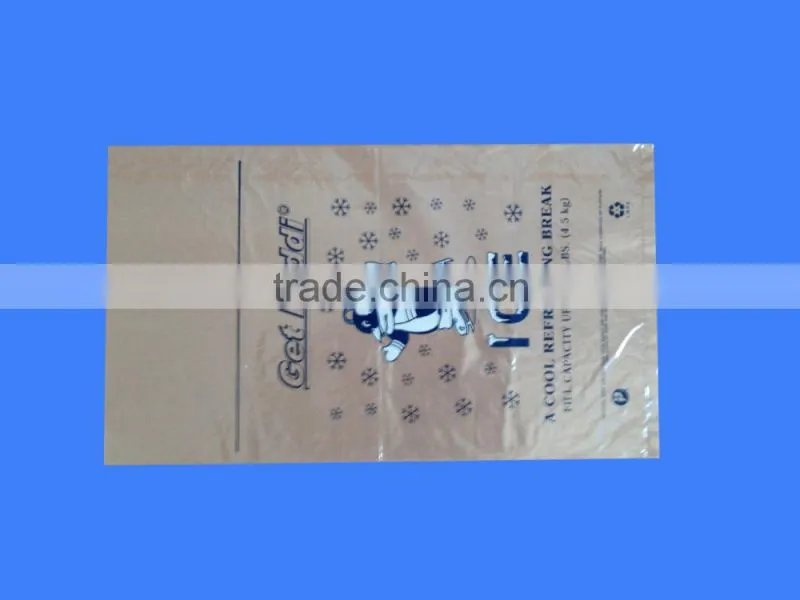 cooler bag for frozen food/plastic food bag manufacturer