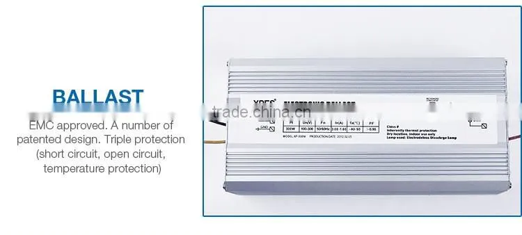 Factory direct sale professional energy saving induction market light