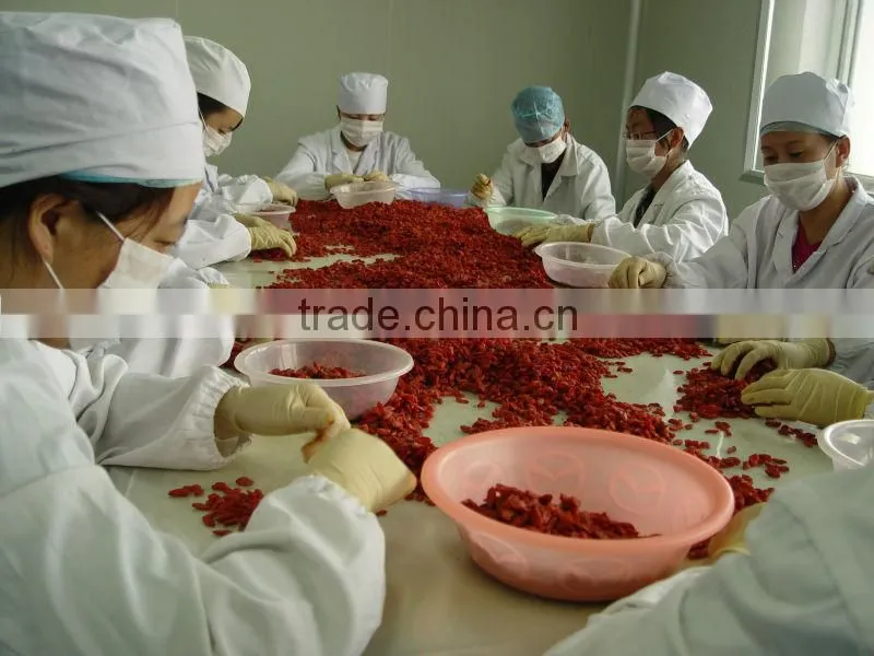 Goji for dried fruits importers