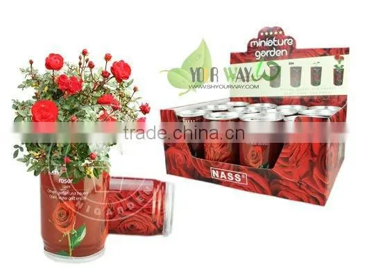flower can,can flower,flower tin