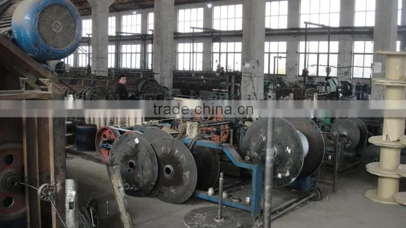 Electro Galvanized Steel Wire Rope