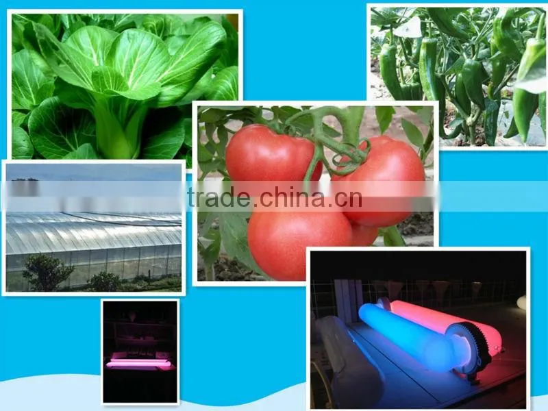 Induction Grow Lights UV and IR Spectrums with Added Red Phosphor Blend
