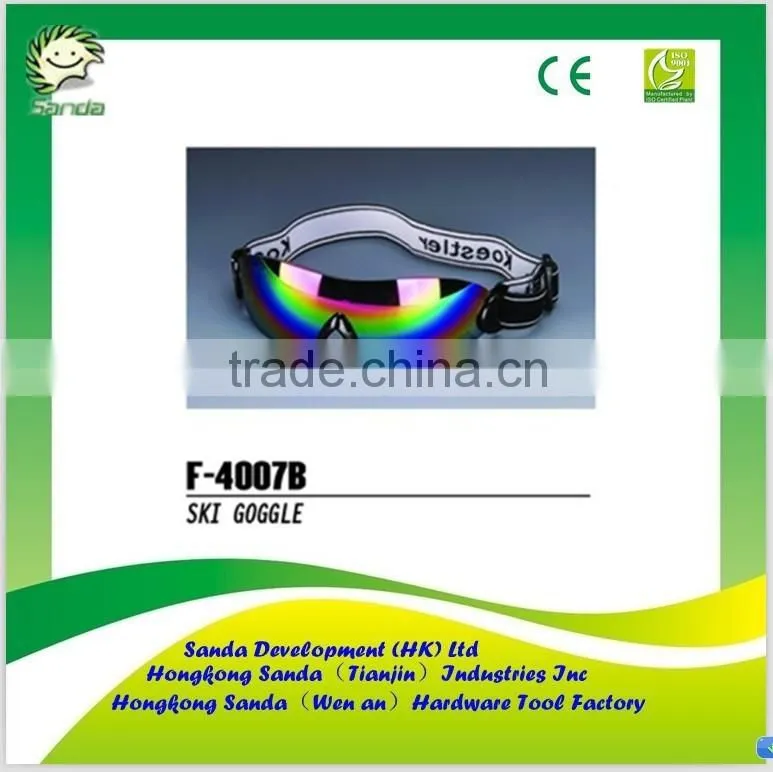 Custom ski goggle with price