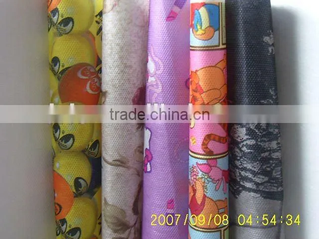 Supply Apparel Patterns Printed PP Nonwoven Fabric