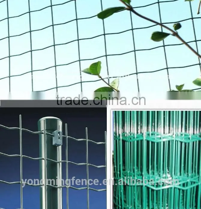 Galvanized and powder coating welded Euro fence for sale