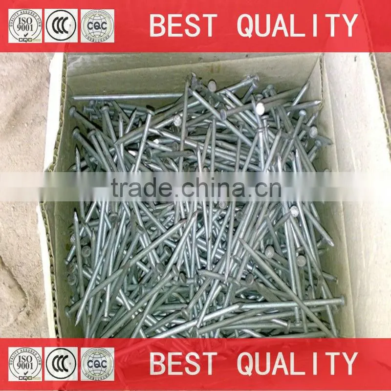 china best quality canton fair common nail