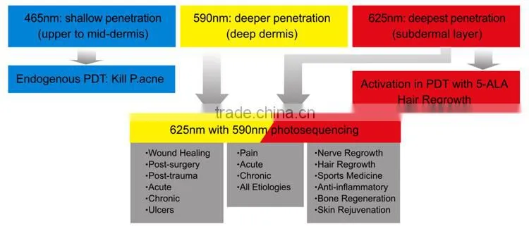 3 Color Light Rejuvenation Apparatus