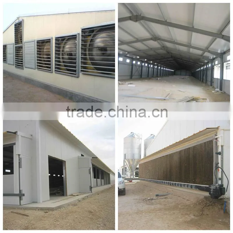 2014 steel chicken farm house with all automatic control equipments in Nigeria