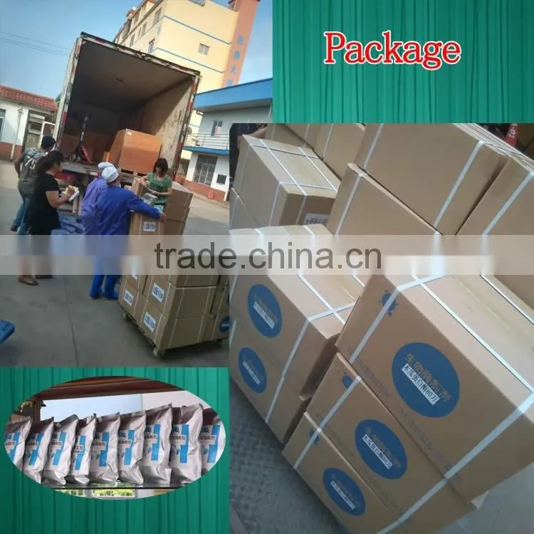 Food grade plant extract manufacturer direct selling pineapple extract powder bromelain