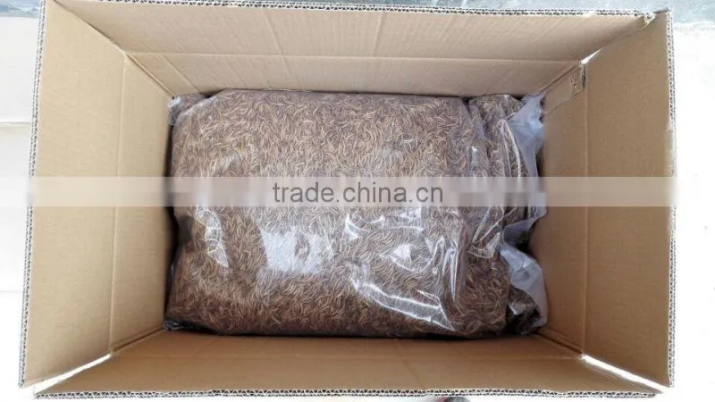 Yellow Worms Dried Mealworms Tenebrio Pet Food