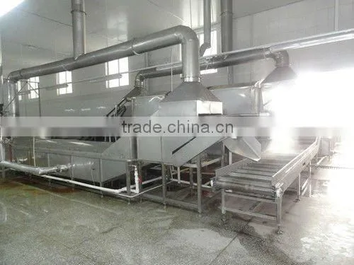 Low Temperature vacuum packing String Beans Chips
