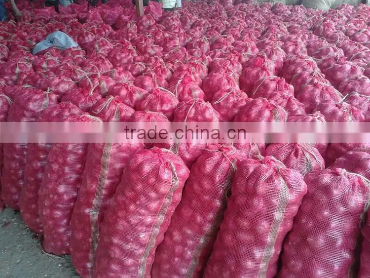 China origin onion ton market price for red onion