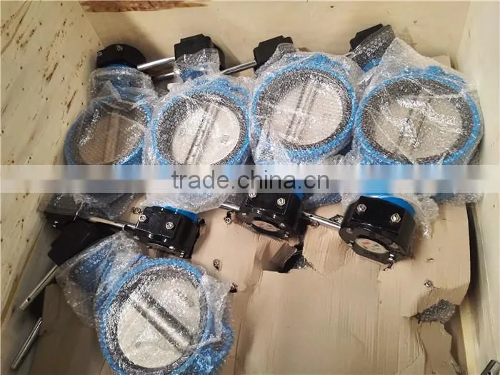 Dual Plate Disc Check Valve