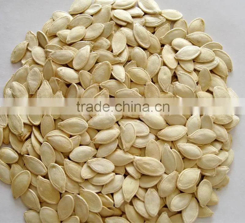 Good price/sunshine pumpkin seeds
