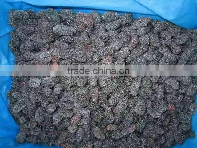 New crop frozen mulberry for sale
